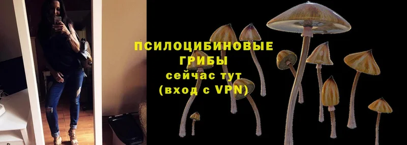 Галлюциногенные грибы MAGIC MUSHROOMS  Жигулёвск 